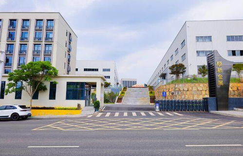 剛?cè)嵯酀?jì)鑄偉業(yè) 訪湖南順新金屬制品科技董事長張順新